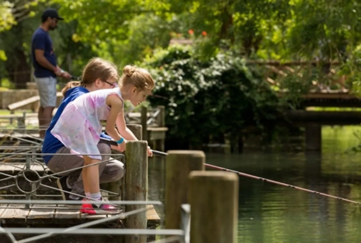 Two young children fishing from a wooden jetty on a calm river, surrounded by lush green trees on a sunny summer day