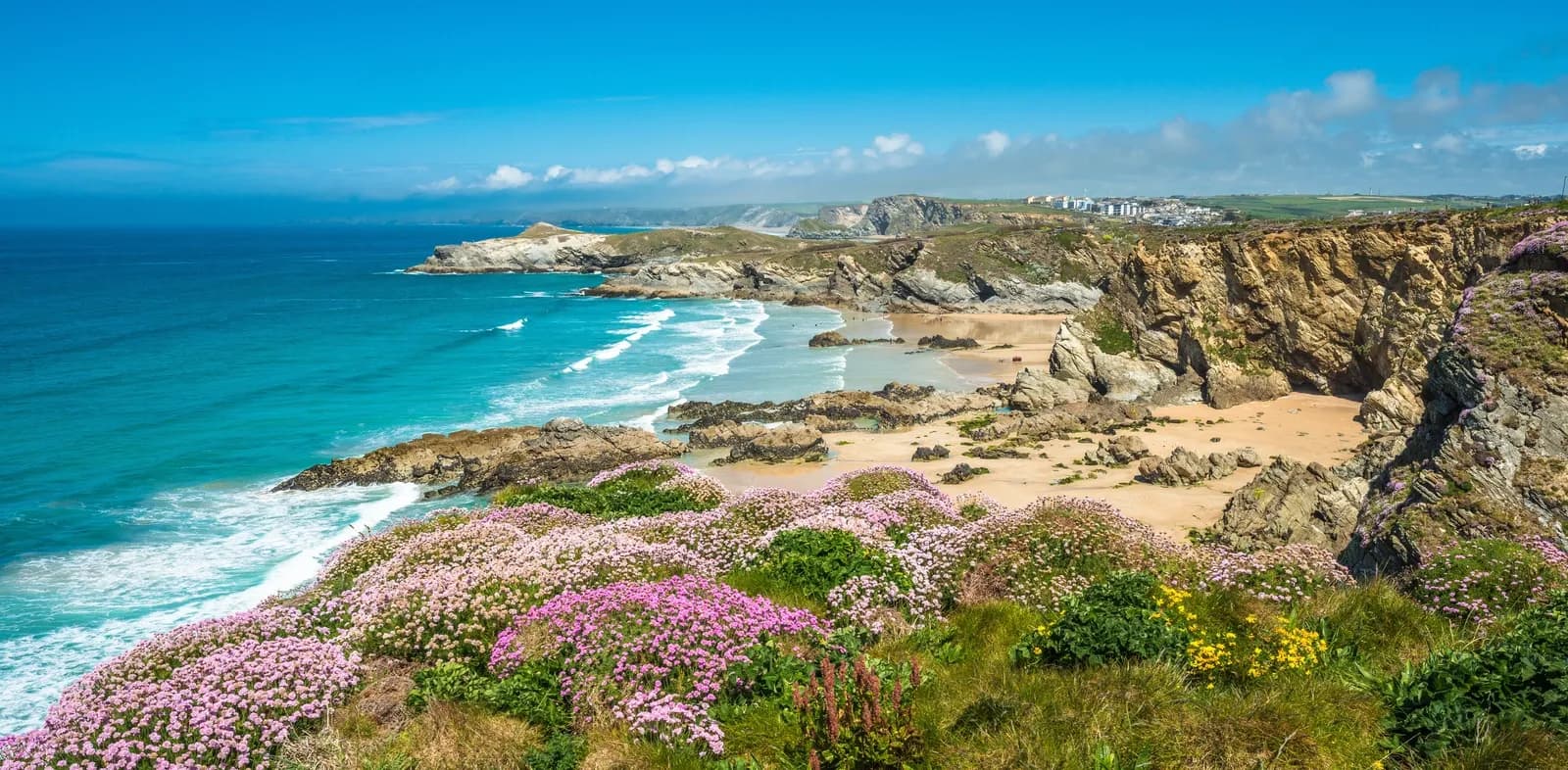 Dramatic Cornish coastline with golden cliffs, turquoise sea and pink wildflowers blooming on clifftops above sandy coves