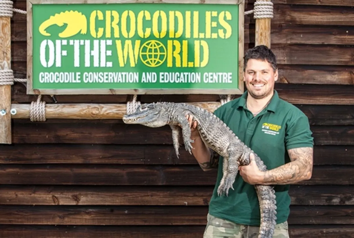 Crocodiles of the World keeper holding a young crocodile outside the conservation and education centre in the Cotswolds