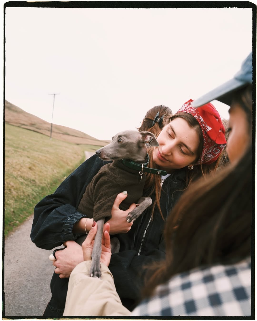 Woman in a red bandana cradling a grey Italian greyhound in a cosy fleece on a rural UK country lane, perfect for dog-friend…