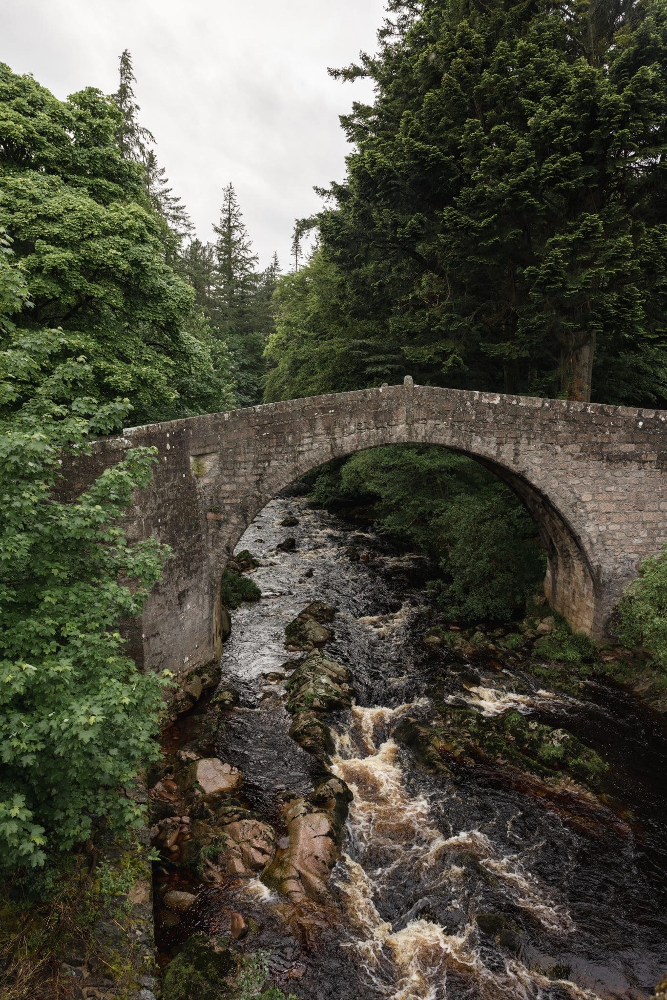 Ancient stone arch bridge spanning a rushing Highland river surrounded by dense pine and broadleaf woodland in Glen Dye, Sco…
