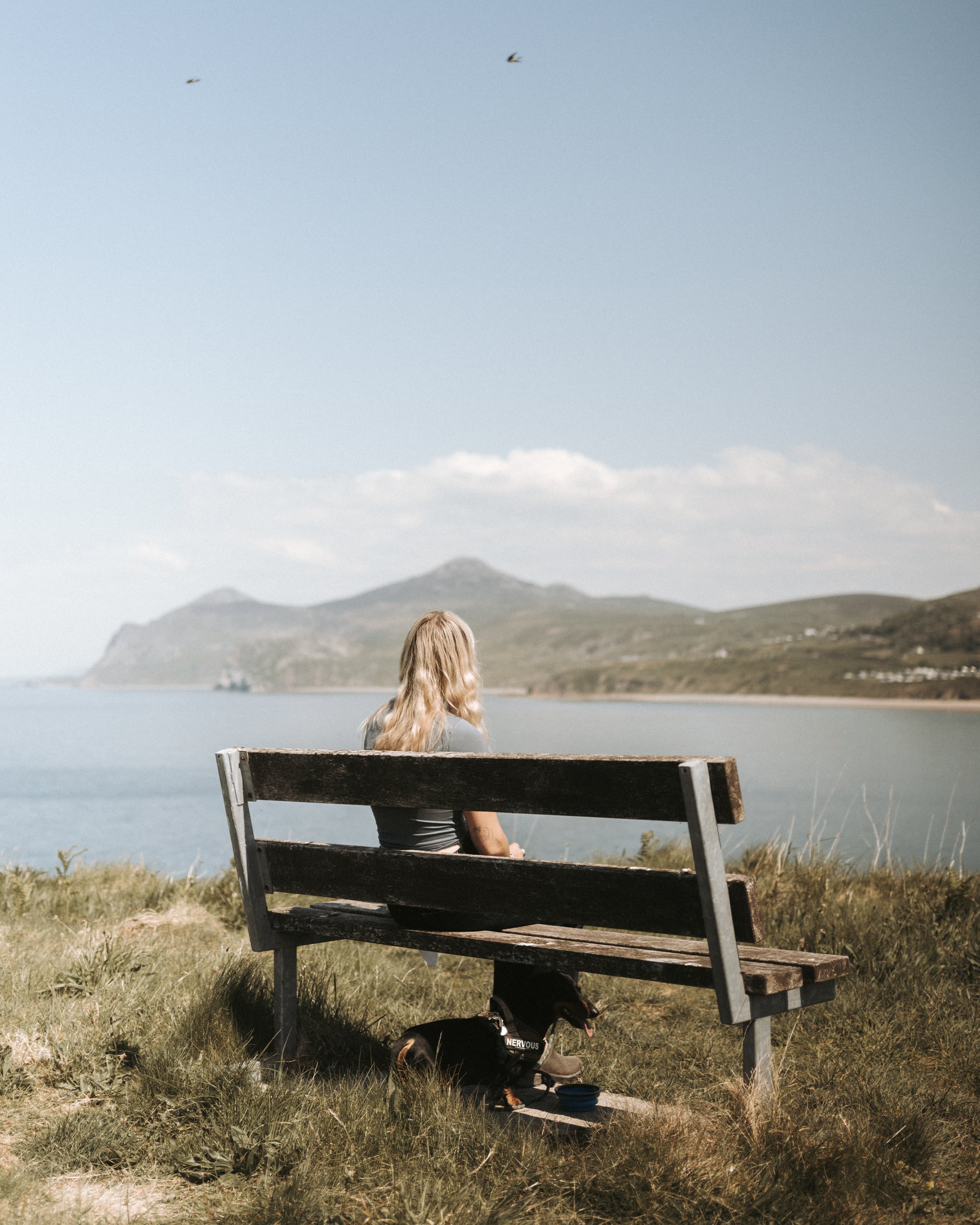 Woman and her dog resting on a clifftop bench overlooking a calm bay and mountain coastline on a sunny day