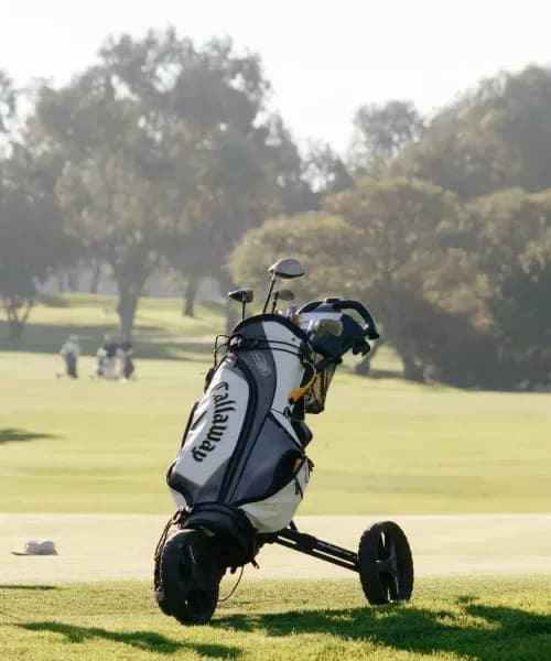 Golf bag on trolley at countryside golf course with mature trees and rolling fairways